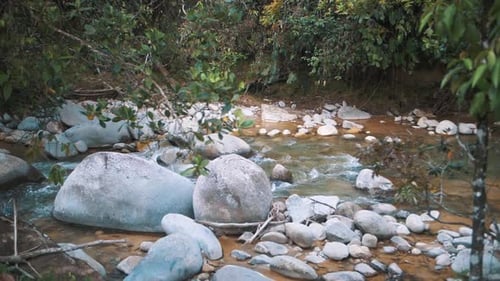 Slow-motion shot of water flowing through pebble rocks in the river on the jungle