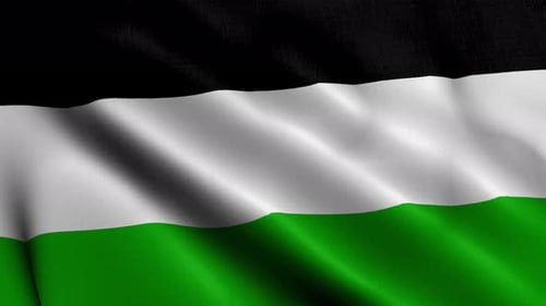 Waving Flag Animation with Black White Green Stripes