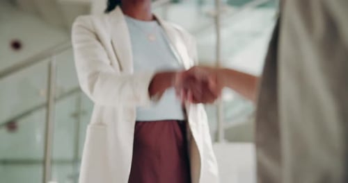 Handshake, agreement and business people in office for sponsorship deal, commitment and teamwork