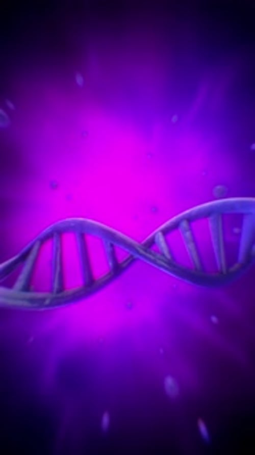 DNA Strand
