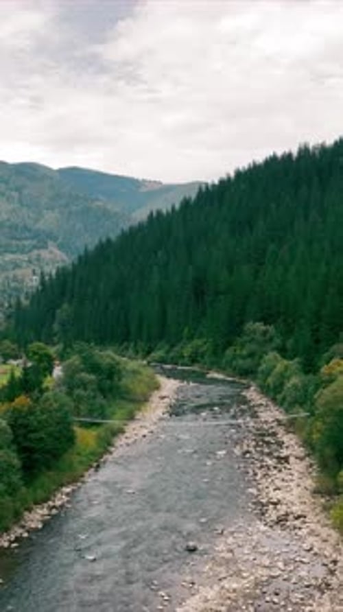 Fluss, der durch ein bewaldetes Tal mit Blick auf die Berge fließt Ein friedlicher Fluss, der sich durch ein bewaldetes Tal schlängelt