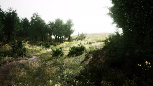 Beautiful View of Idyllic Alpine Mountain Scenery with Blooming Meadows