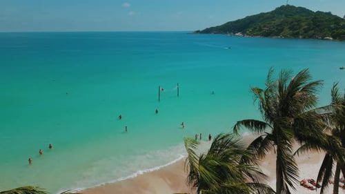 Tropical Beach with Palm Trees and Turquoise Ocean Tropical Beach Paradise with Palm Trees Clear
