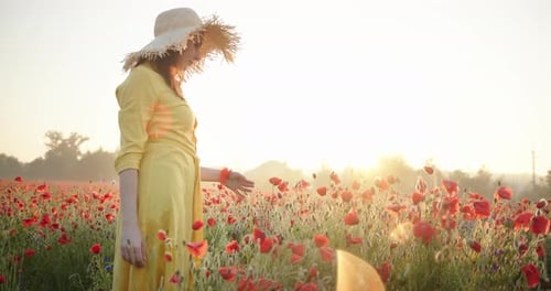 Woman in Yellow Dress Touching a Red Poppy in a Flower Field