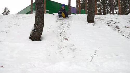Glücklicher kleiner Junge, der im Winter einen verschneiten Hügel hinunterrutscht