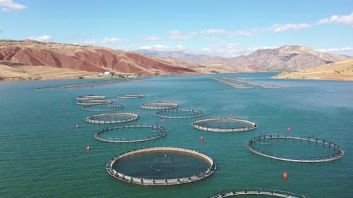 Aerial View Of Fish Ponds And Coastal Mountains In The Dam Lake