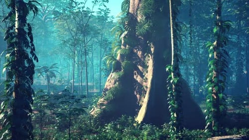 Massive Tree Standing Tall in Dense Forest