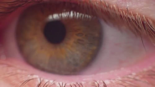 4K macro shot of an eye in slow motion, looking into the camera.