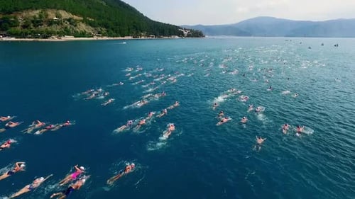 Swimming Competition Aerial 05