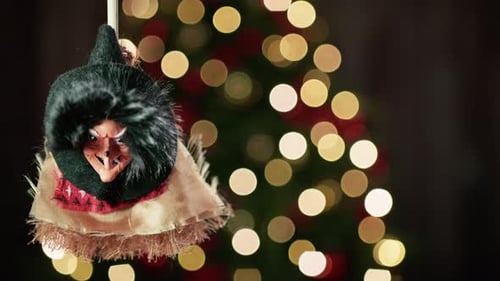 Befana Witch Ornament with Christmas Tree Lights