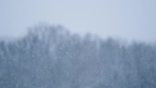 Schöner Schneefall im Winter, Schneesturm, Wetterhintergrund, kaltes Klima/Natur