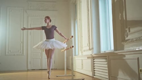 Elegant Ballerina Practicing at the Barre in Studio