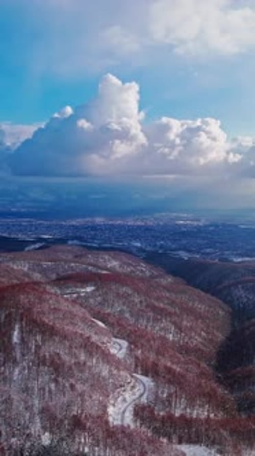 Vertical Winding Road Through Snowy Forest Aerial View
