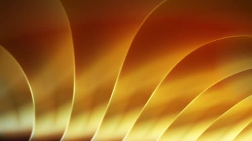 Elegant Flowing Gold Abstract Curves Looping Background