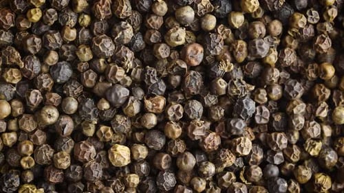 Close up of Fresh Black Peppercorns