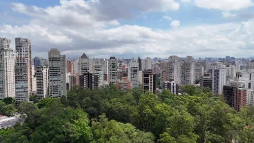 Vídeo aéreo acima do Parque Ibirapuera São Paulo em um dia ensolarado