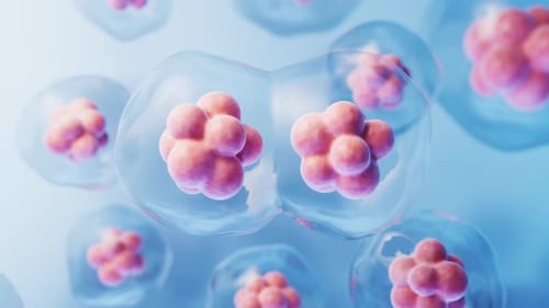 Mitose de células com conceito de biotecnologia