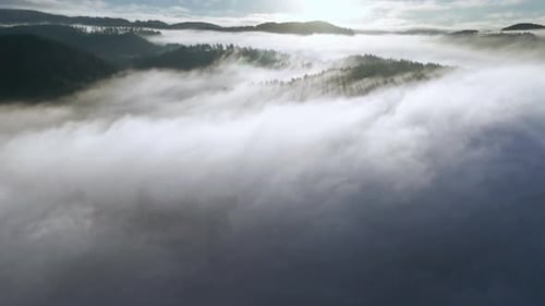 Sun is rising on the horizon. Thick and fluffy morning fog has coated the valley. Sun rays are illum