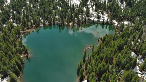 Mountain Lake with Snow Mountains and Green Forest