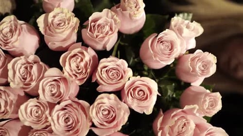 Floristin macht schönen Blumenstrauß im Blumenladen