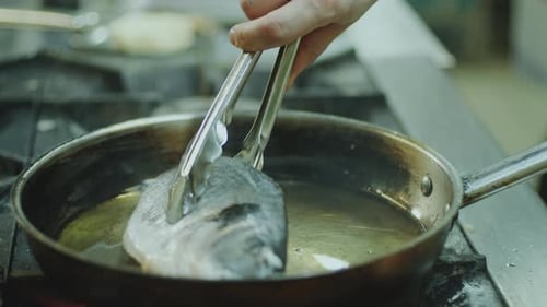 Preparing Food, Frying Fish in Pan