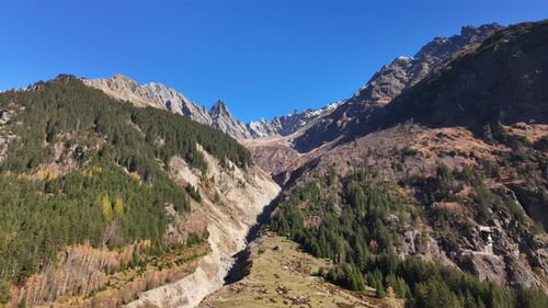 Majestic Haslital mountains with clear blue sky and forested valley below in a peaceful scene
