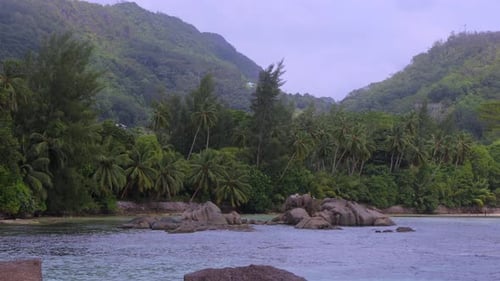Palmeiras em uma ilha tropical