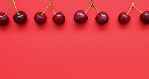 Video of Big Sweet Cherries on a Bright Coral Background Sweet Cherries Close Up Summer Flat Lay