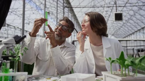 Zwei Wissenschaftler diskutieren im Gewächshaus über Reagenzglas mit grüner Flüssigkeit