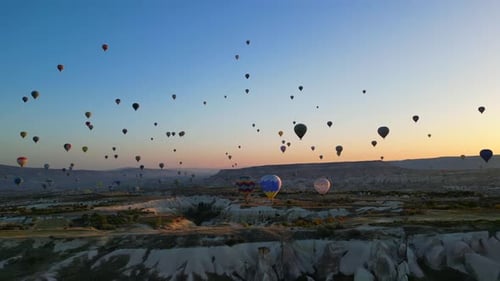 Colorful Hot Air Balloons Soaring at Sunrise