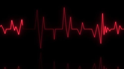 Heart Rate Monitors Electrocardiogram EKG ECG Heart Beat Line Template Cardiogram Monitor