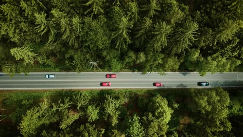 Machine Driving on Forest Highway Red SUV Moving Under Sunny Weather Top View Automobile Cruising