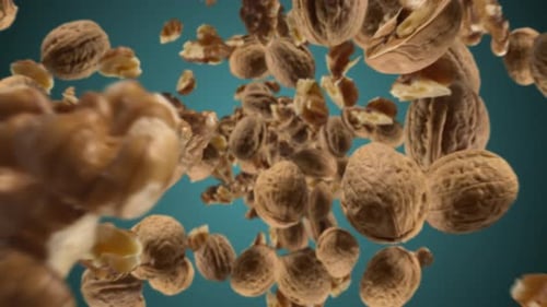 Raw Walnuts Chunks Exploding and Flying in Super Slow Motion Pieces of Walnuts Drops After Explosion