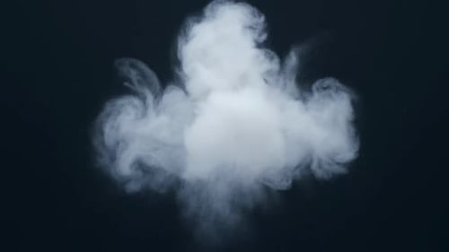 Fluid Realistic Smoke Burst Reveal