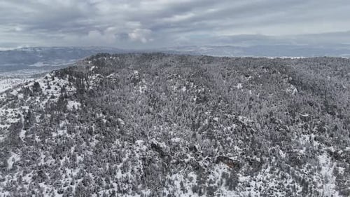 Vue aérienne avec rivière gelée, arbres couverts de neige blanche