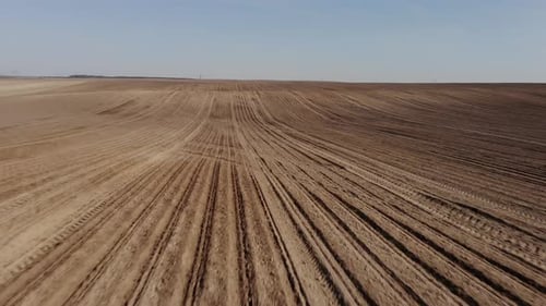 Green tractor planting sunflower on the sandy field in Ukraine 4K