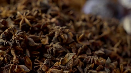 Star Anise Spice Macro Close Up of Aromatics for Cooking and Tea