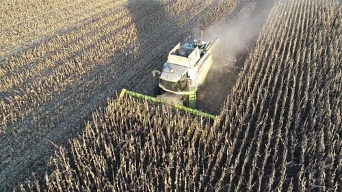 Corn Harvesting Southern Hemisphere Crops 3