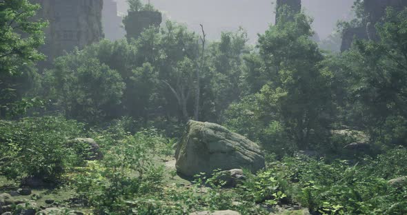Lush Overgrown Landscape with Large Rocks and Dense Vegetation at Dawn ...
