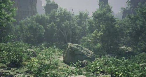 Lush Green Forest Floor Motion Background with Gentle Camera Movement