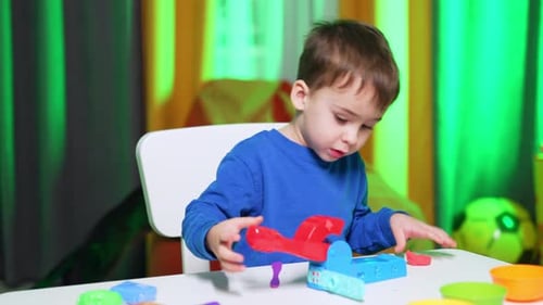 Boy Playing with Colorful Clay and Toys Indoors