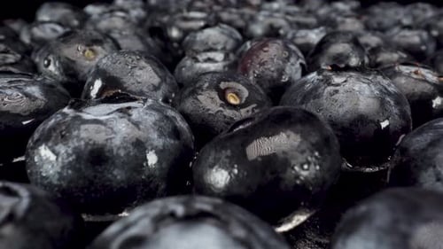 macro view flying backwards over wet blueberries dark background, healthy fruit