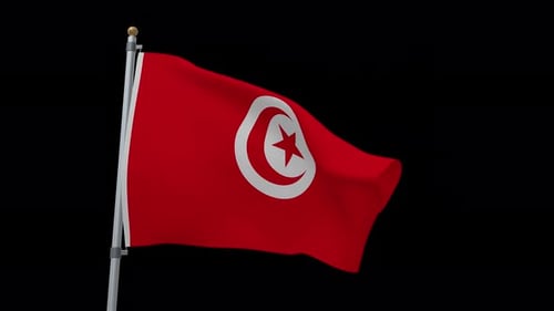 Seamless Loop Realistic Waving Tunisia Flag