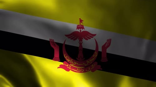 Waving National Flag of Brunei Animated Loop