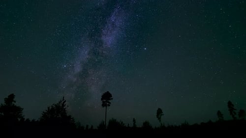 Observation des étoiles sous un ciel nocturne clair dans un cadre forestier paisible mettant en valeur la beauté du lait