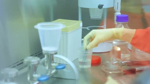 Laboratory Experiments and Research in Scientific Environment