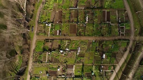 Aerial Shot of Cultivated Agriculture Field