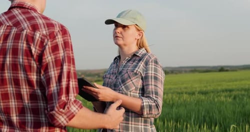 Two Successful Farmers Communicate in a Green Wheat Field Use Tablet Technology in Agriculture