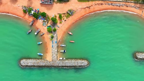 Breakwaters often become ecosystems of their own.