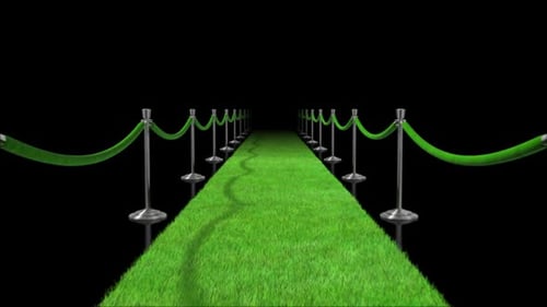 Walk Down The Green Carpet Loopable